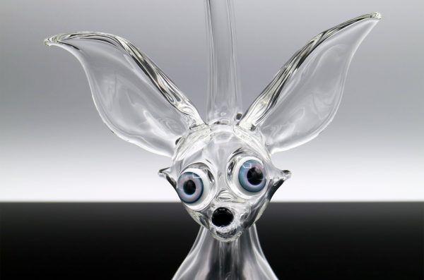 Tymeone Blue Eye Fox Jammer