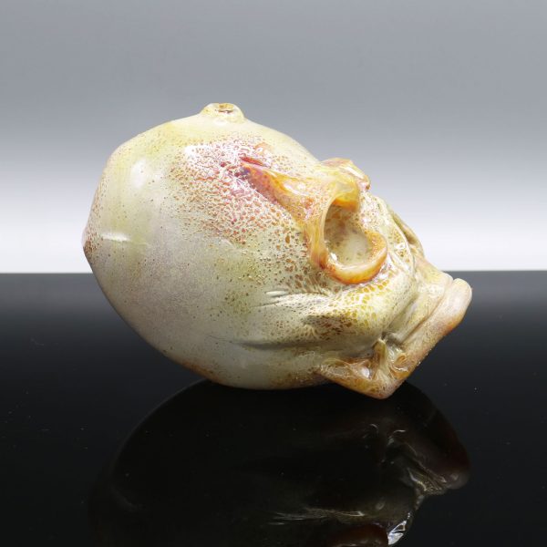Jonny Carrcass Functional Skull