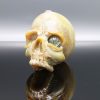 Jonny Carrcass Functional Skull