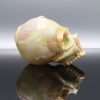 Jonny Carrcass Functional Skull