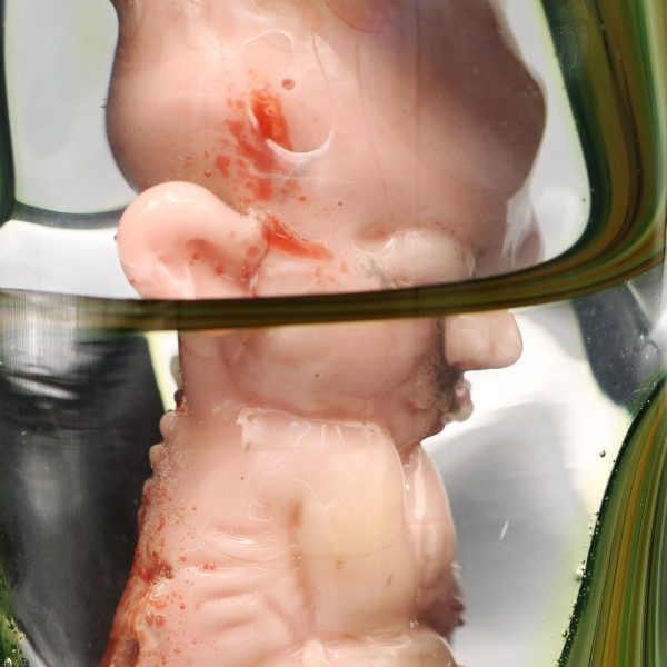 Jonny Carrcass X Glassmith Fetus in a Bottle Collab