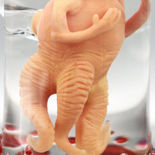 Jonny Carrcass Thalidomide Fetus in a Bottle